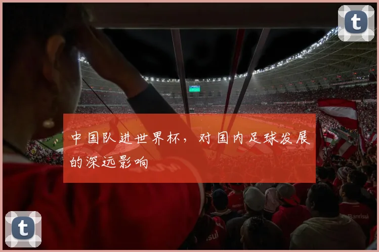 中国队进世界杯,对国内足球发展的深远影响