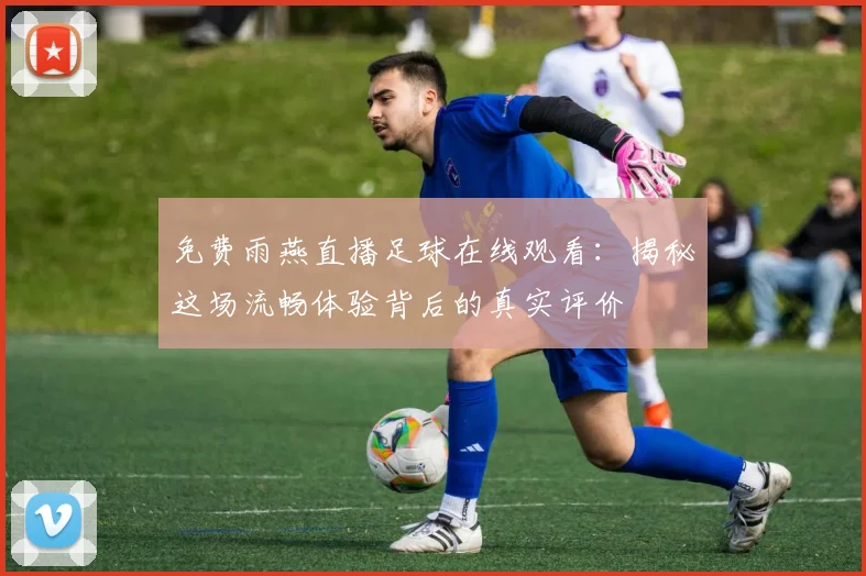 免费雨燕直播足球在线观看:揭秘这场流畅体验背后的真实评价